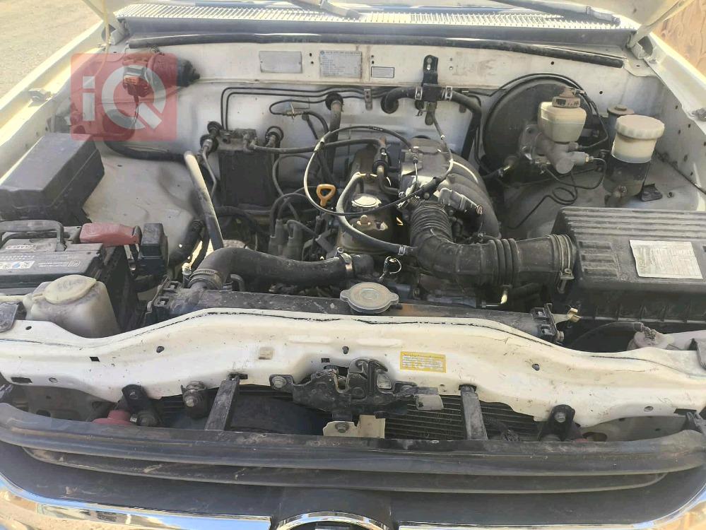 جريت وول دير